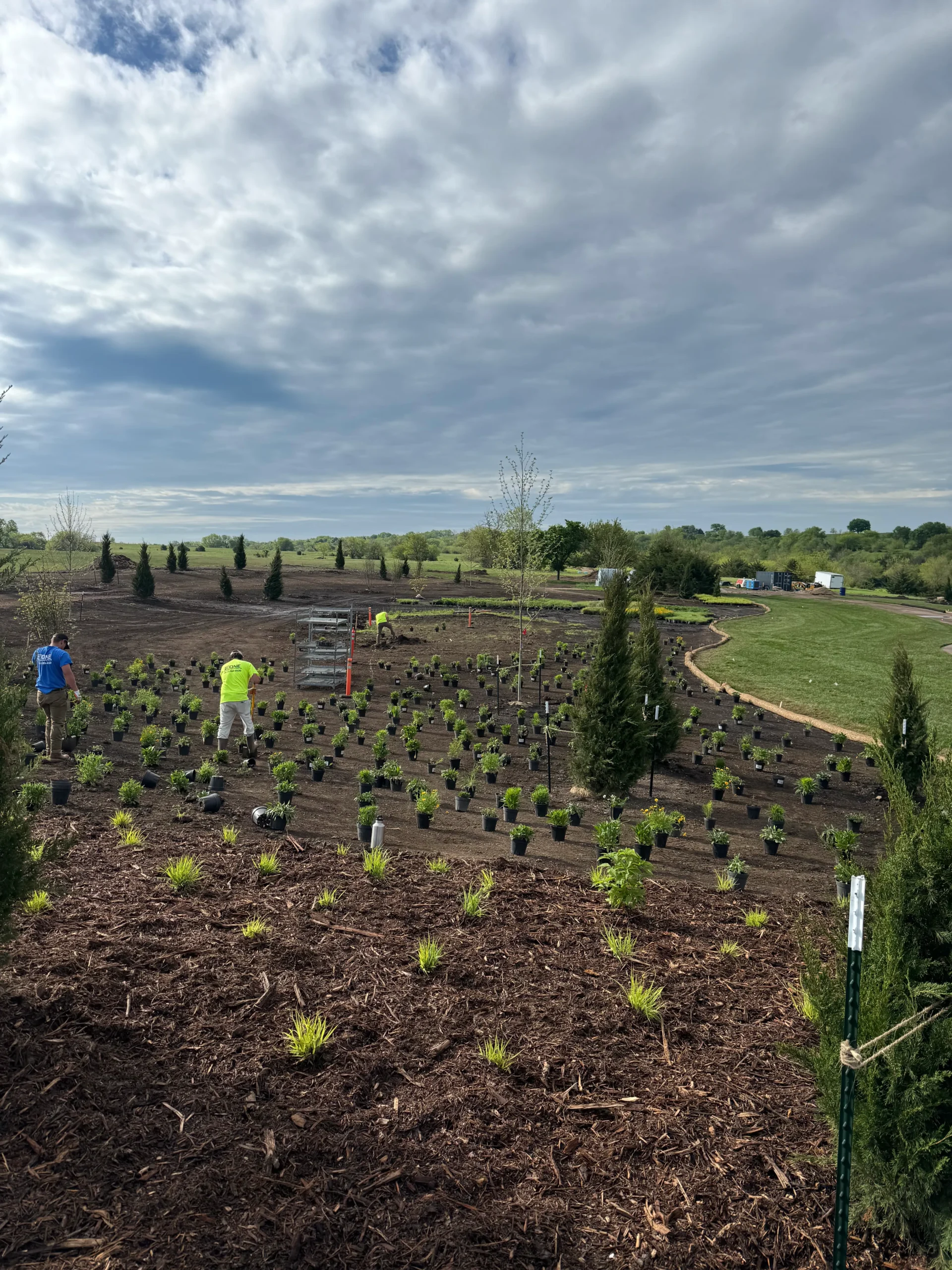 Kansas Yard Transformation Lenexa